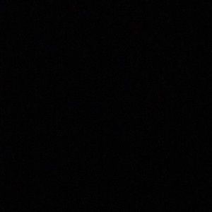 Meet your Posher, Moronica